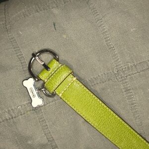 Coach Bright Green Dog Collar with Bone Charm